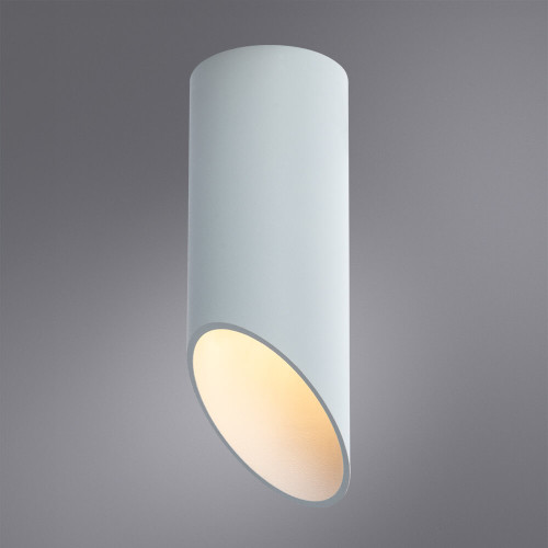 
                    Потолочный светильник Arte Lamp Pilon A1615PL-1WH        
    