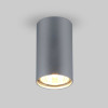 
                    Потолочный светильник Elektrostandard 1081 5257 GU10 SL серебро a037714        
    