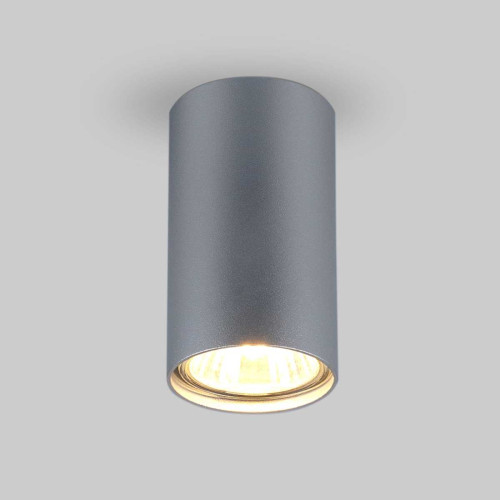 
                    Потолочный светильник Elektrostandard 1081 5257 GU10 SL серебро a037714        
    