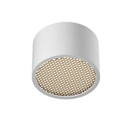 Потолочный светильник Maytoni Technical C122CL-GX53-W
