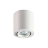 
                    Потолочный светильник Odeon Light Hightech Tuborino 3567/1C        
    