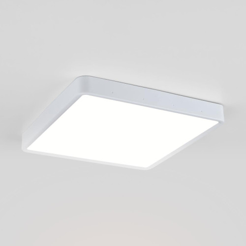 
                    Потолочный светодиодный светильник Elektrostandard DLS034 24W 4200K a043018        
    