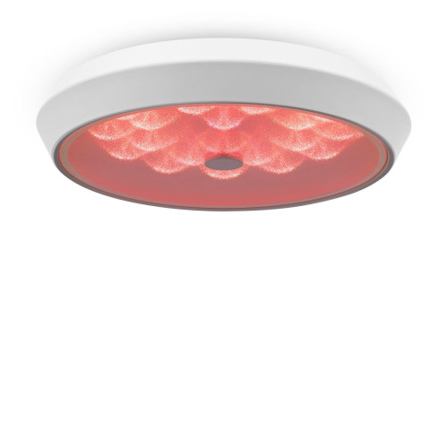 
                    Потолочный светодиодный светильник Freya Cells FR10012CL-L24W        
    