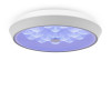 
                    Потолочный светодиодный светильник Freya Cells FR10012CL-L24W        
    