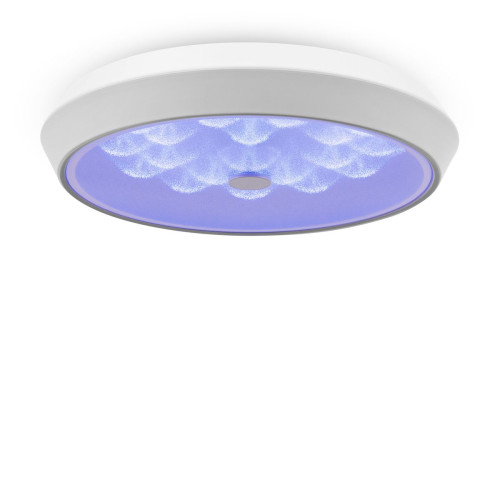 
                    Потолочный светодиодный светильник Freya Cells FR10012CL-L24W        
    