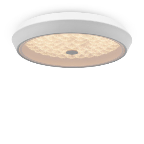 
                    Потолочный светодиодный светильник Freya Cells FR10012CL-L24W        
    