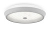 
                    Потолочный светодиодный светильник Freya Cells FR10012CL-L24W        
    