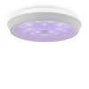 
                    Потолочный светодиодный светильник Freya Cells FR10012CL-L24W        
    