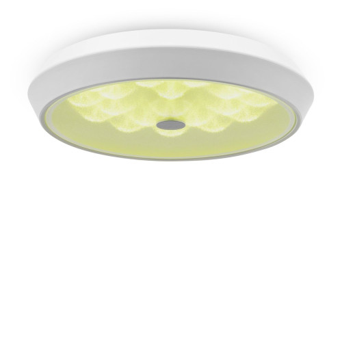 
                    Потолочный светодиодный светильник Freya Cells FR10012CL-L24W        
    