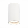 
                    Потолочный светодиодный светильник ST Luce ST157.532.20        
    