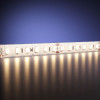 
                    Светодиодная влагозащищенная лента Maytoni 9,6W/m 120LED/m 2835SMD теплый белый 5M 201045        
    