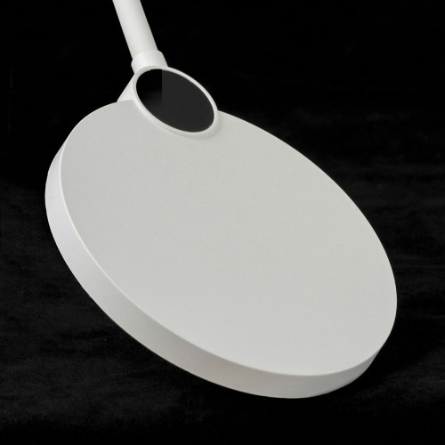 
                    Торшер Lussole Amador LSP-0919        
    