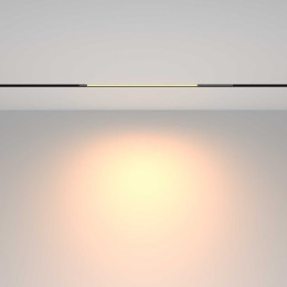 Трековый светильник Maytoni Technical TR231-2-10W3K-B