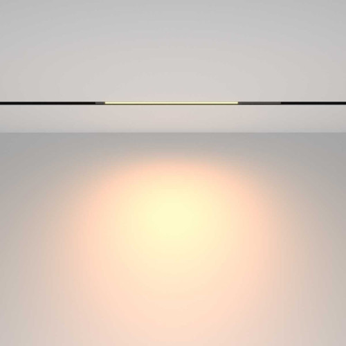 
                    Трековый светильник Maytoni Technical TR231-2-10W3K-B        
    