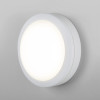
                    Уличный настенный светодиодный светильник Elektrostandard LTB51 Led белый a048704        
    