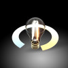 
                    Лампа светодиодная филаментная диммируемая Elektrostandard (Умный дом) E27 10W 3300/4200/6500K прозрачная BLE2754 a055920        
    