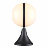 
                    Ландшафтный светильник Odeon Light Nature Lomeo 4832/1A        
    