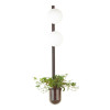 
                    Настенный светильник Odeon Light Walli Flower 4681/2WA        
    