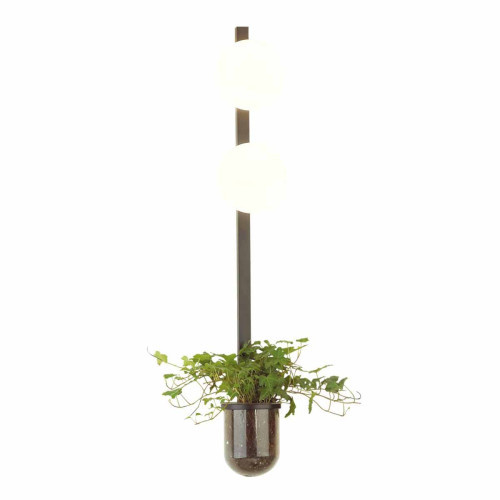 
                    Настенный светильник Odeon Light Walli Flower 4681/2WA        
    