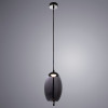 
                    Подвесной светодиодный светильник Arte Lamp Cody A7769SP-1BC        
    