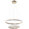 
                    Подвесной светодиодный светильник Arte Lamp Meridiana A2198SP-2GO        
    