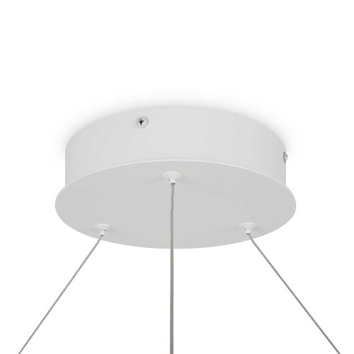 
                    Подвесной светодиодный светильник Maytoni Rim MOD058PL-L65WK        
    