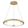
                    Подвесной светодиодный светильник Odeon Light Hightech Cayon 7002/44L        
    