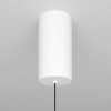
                    Подвесной светильник Maytoni Ray P022PL-L10W        
    