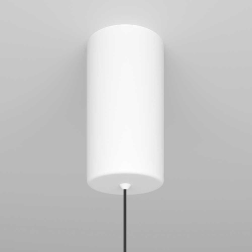 
                    Подвесной светильник Maytoni Ray P022PL-L10W        
    