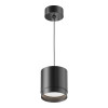 
                    Подвесной светильник Maytoni Technical Polar P088PL-GX53-B        
    