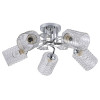 
                                            Потолочная люстра Escada Weigela 1113/5PL                    
                