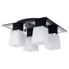 
                    Потолочная люстра Lussole Lente GRLSC-2507-04        
    