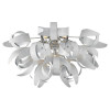 
                    Потолочный светильник Lussole Loft LSA-5927-09        
    