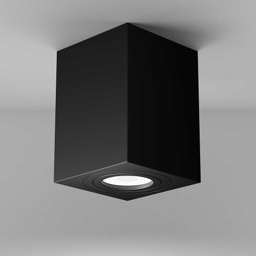 
                    Потолочный светильник Maytoni Alfa C017CL-01B        
    
