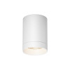 
                    Потолочный светильник Maytoni Outdoor O500CL-L10W3K        
    