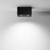 
                    Потолочный светильник Maytoni Technical Atom C017CL-02B        
    