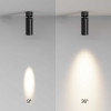 
                    Потолочный светильник Maytoni Technical C055CL-L12W3K-SS-B        
    
