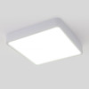 
                    Потолочный светодиодный светильник Elektrostandard DLS034 18W 4200K a043017        
    