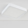 
                    Потолочный светодиодный светильник Elektrostandard DLS034 18W 4200K a043017        
    