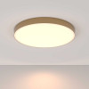 
                                            Потолочный светодиодный светильник Maytoni Technical Zon C032CL-L96MG3K                    
                