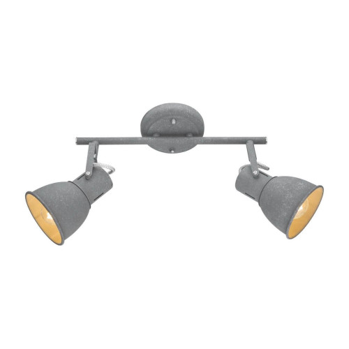 
                    Спот Arte Lamp A1677PL-2GY        
    