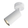 
                    Спот Arte Lamp A3216PL-1WH        
    