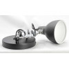 
                    Спот Lussole Loft Koyukuk LSP-8049V        
    