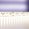 
                    Светодиодная лента Maytoni Technical 20W/m 180LED/m 2835SMD дневной белый 5M 10155        
    