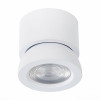 
                    Светодиодный спот ST Luce ST654.542.10        
    