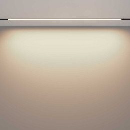 Трековый светильник Maytoni Technical TR030-4-30WTW-DSZ-B