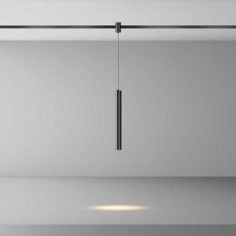 Трековый светильник Maytoni Technical TR155-1-5W3K-B