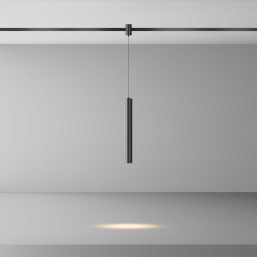 
                    Трековый светильник Maytoni Technical TR155-1-5W3K-B        
    