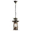 
                    Подвеcной светильник Lussole Loft LSP-9518        
    