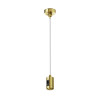 
                    Подвес Maytoni Flarity TRA157SW-S1-BS        
    